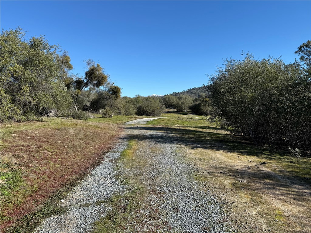 0 37.88 Ac Flying O Ranch Rd. Property Photo 4