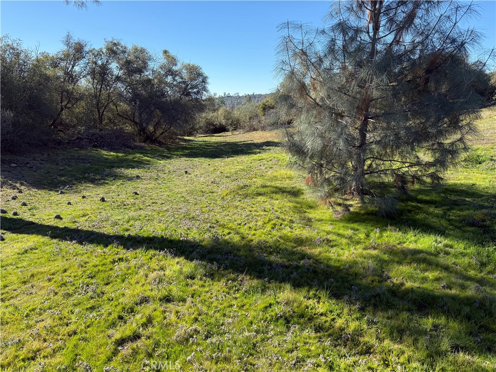0 37.88 Ac Flying O Ranch Rd. Property Photo 5
