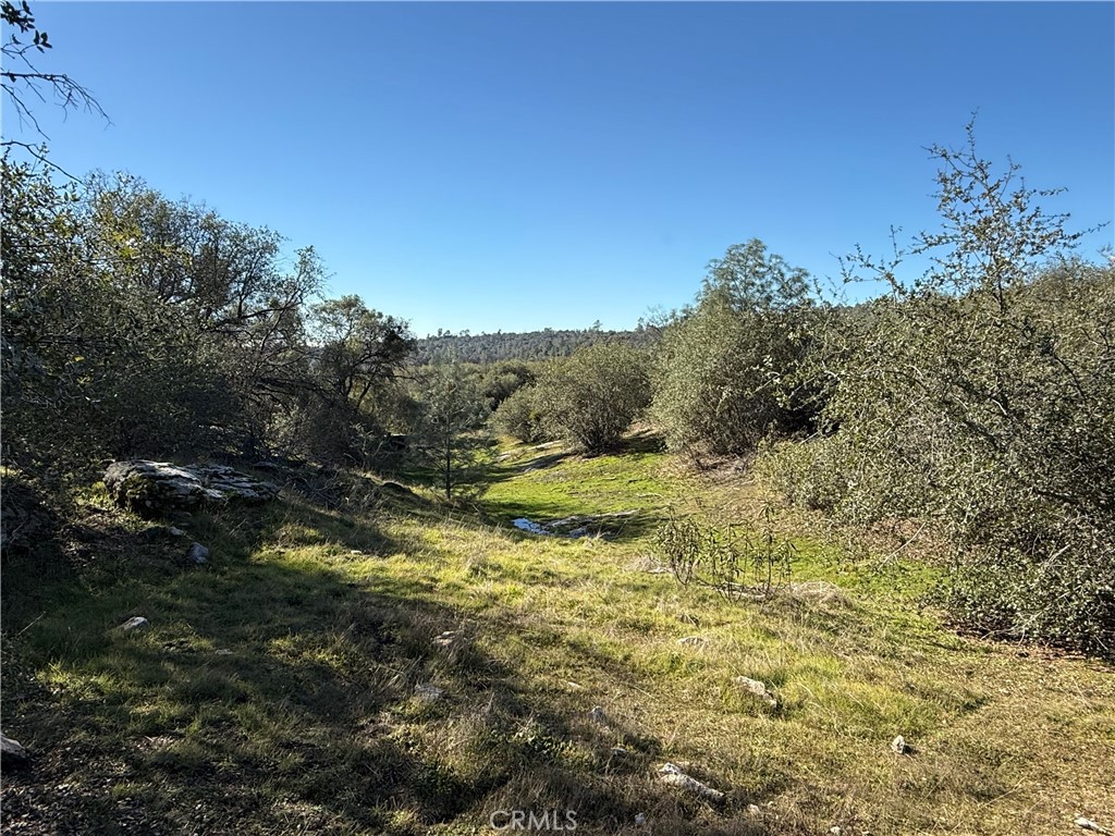 0 37.88 Ac Flying O Ranch Rd. Property Photo 6