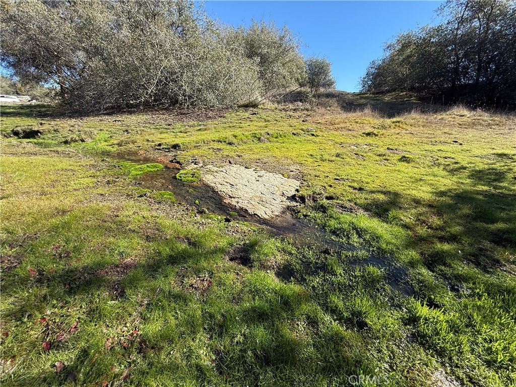 0 37.88 Ac Flying O Ranch Rd. Property Photo 7