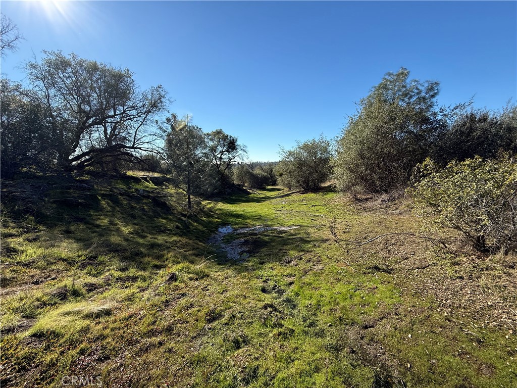 0 37.88 Ac Flying O Ranch Rd. Property Photo 8