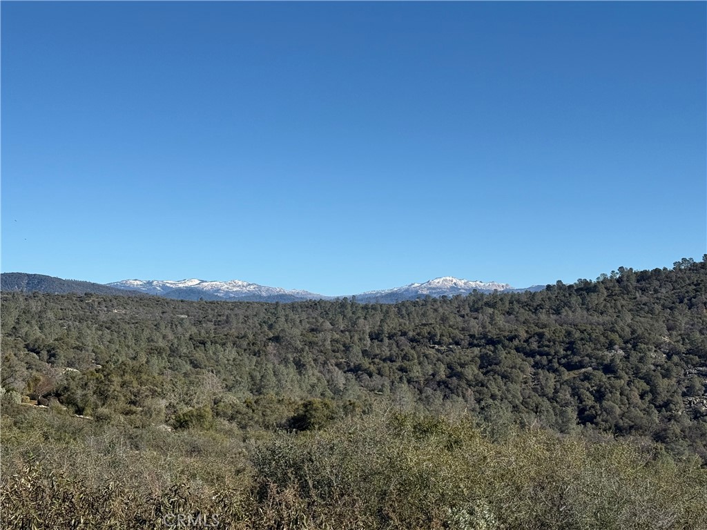 0 37.88 Ac Flying O Ranch Rd. Property Photo 9