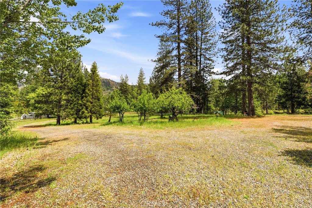 7019 Scott Property Photo 5
