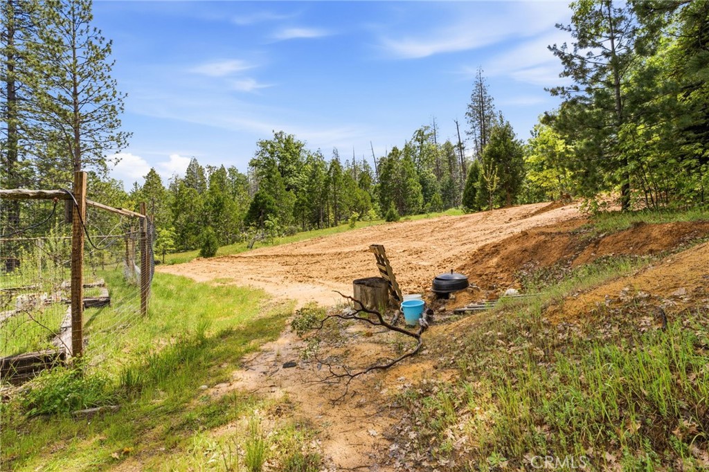7019 Scott Property Photo 44
