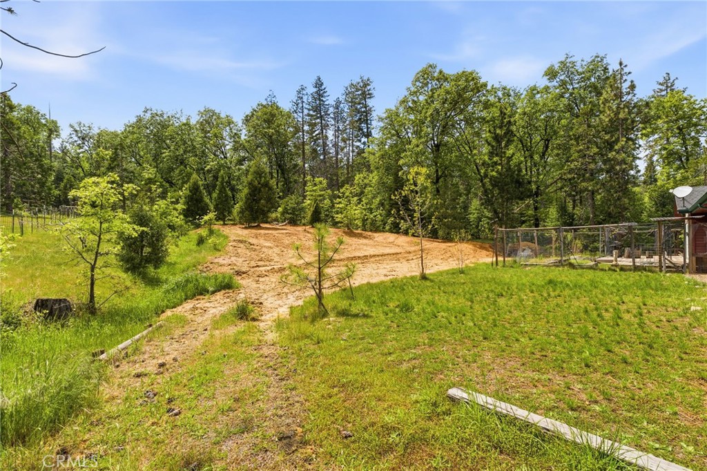 7019 Scott Property Photo 45