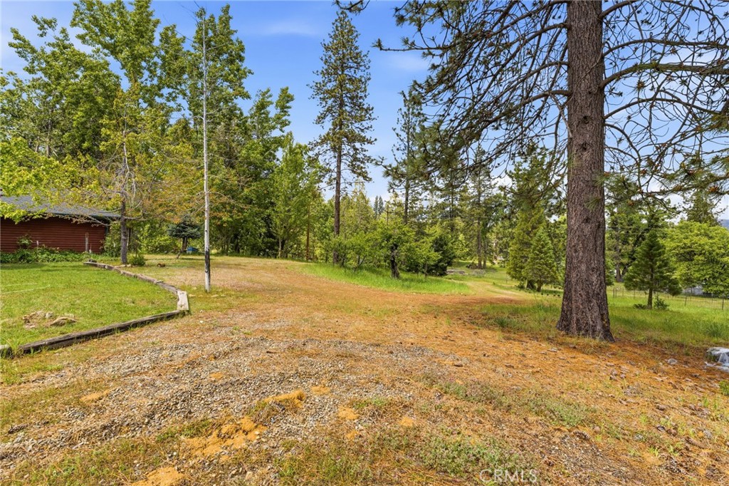 7019 Scott Property Photo 46