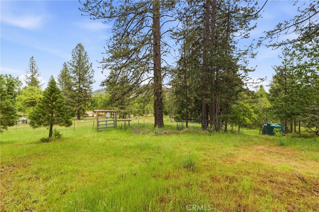 7019 Scott Property Photo 47