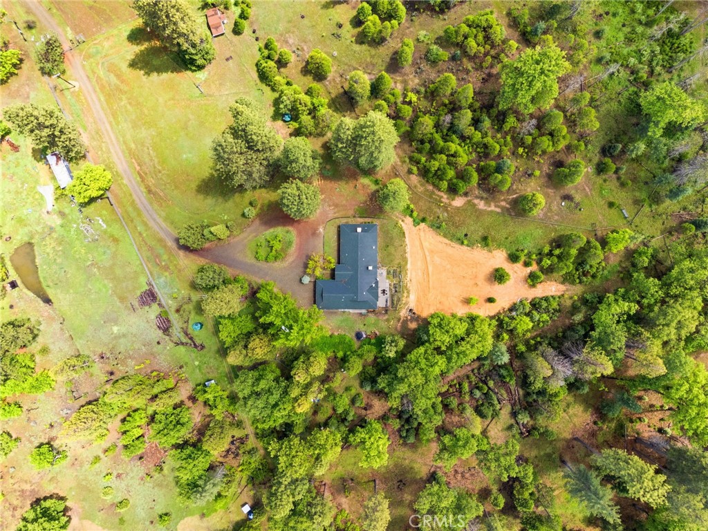 7019 Scott Property Photo 48