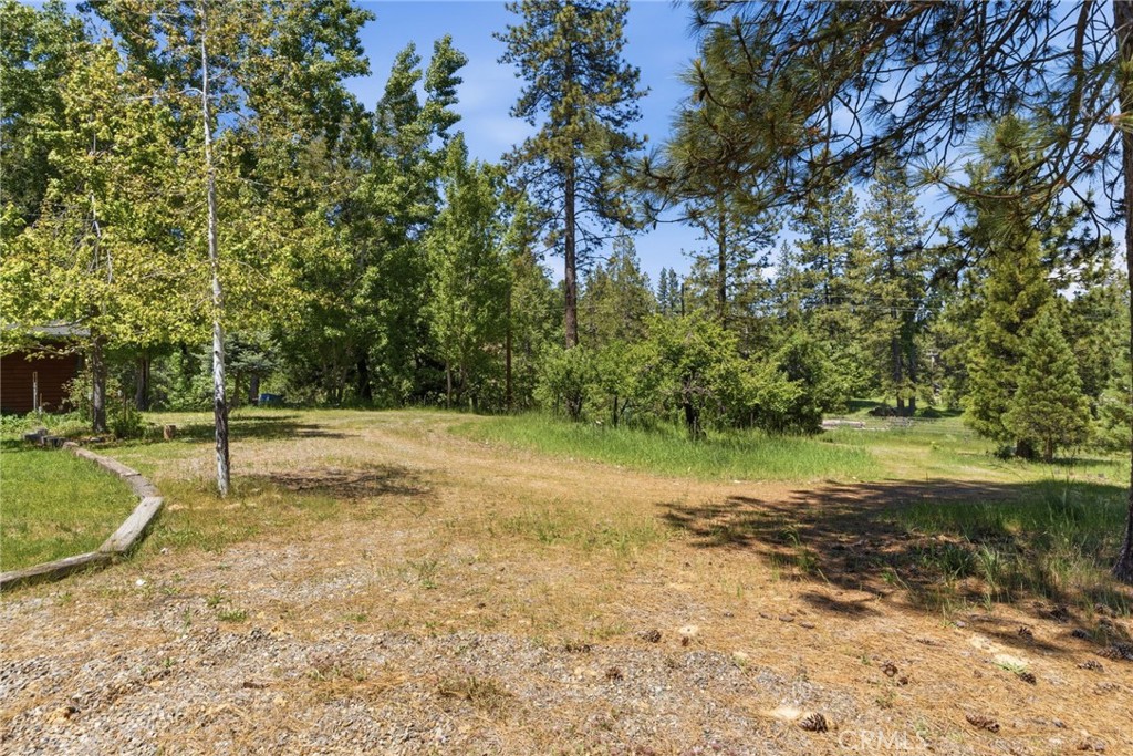 7019 Scott Property Photo 51