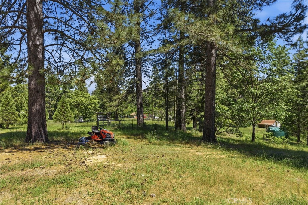 7019 Scott Property Photo 52
