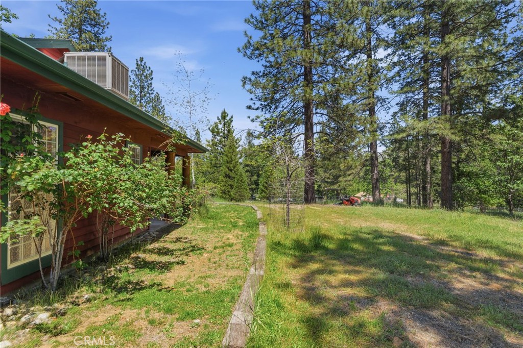 7019 Scott Property Photo 53