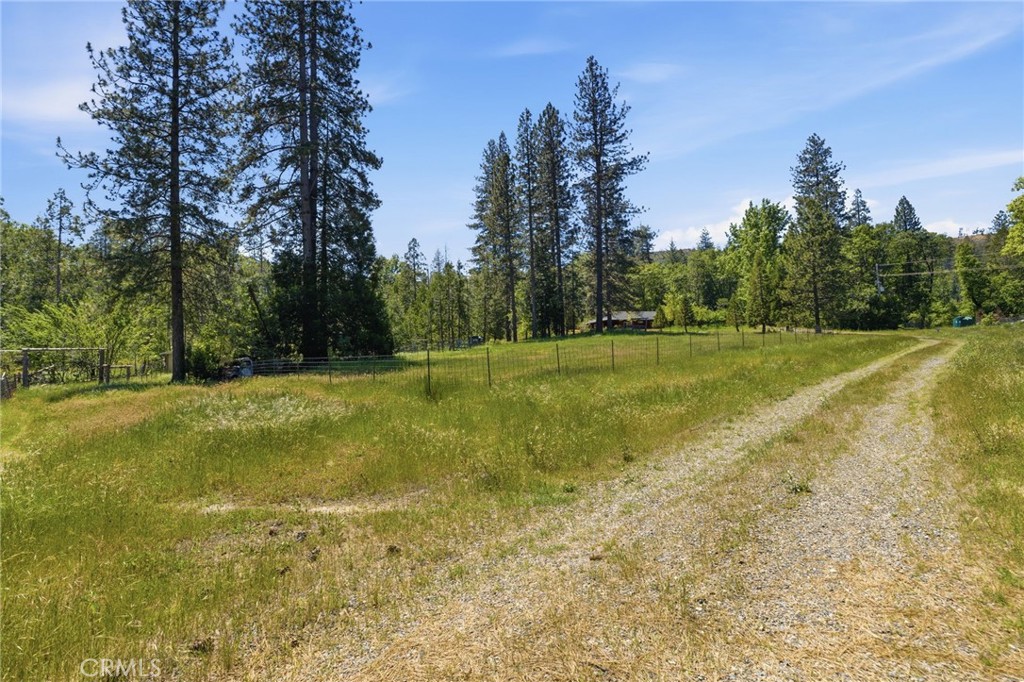7019 Scott Property Photo 56