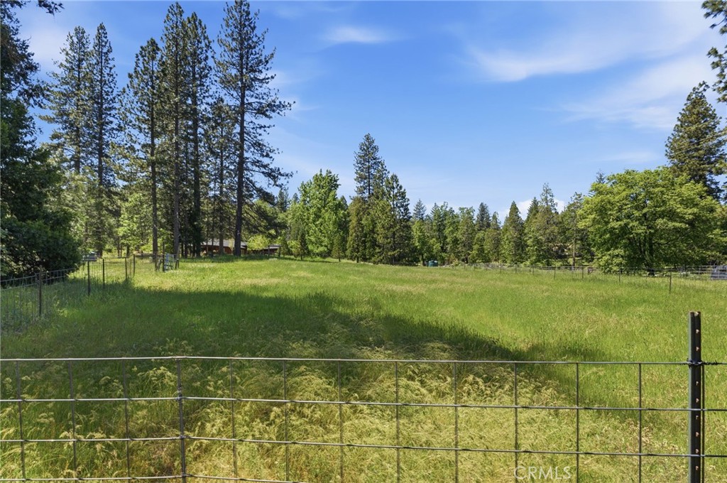 7019 Scott Property Photo 57