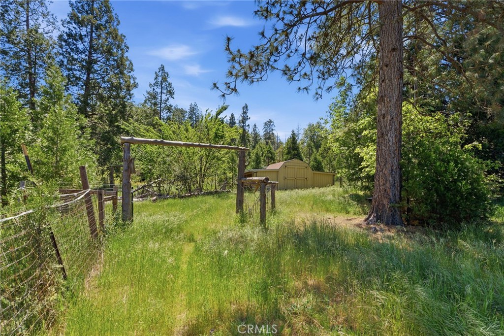 7019 Scott Property Photo 58