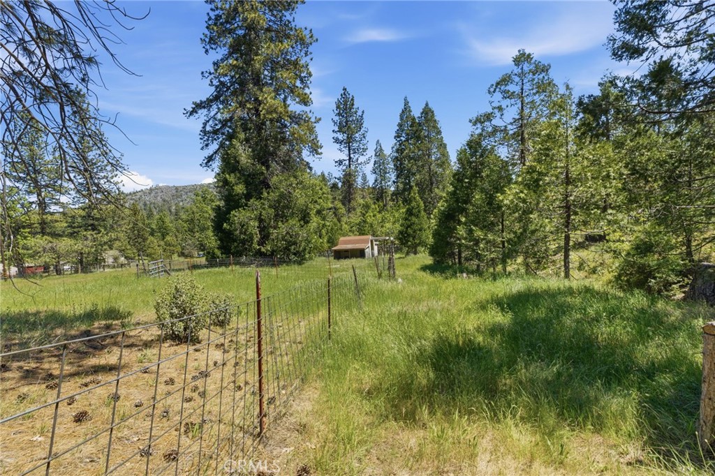 7019 Scott Property Photo 59