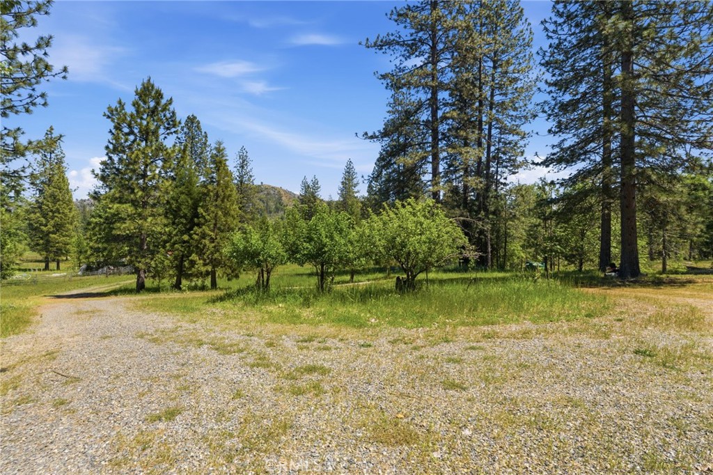 7019 Scott Property Photo 60