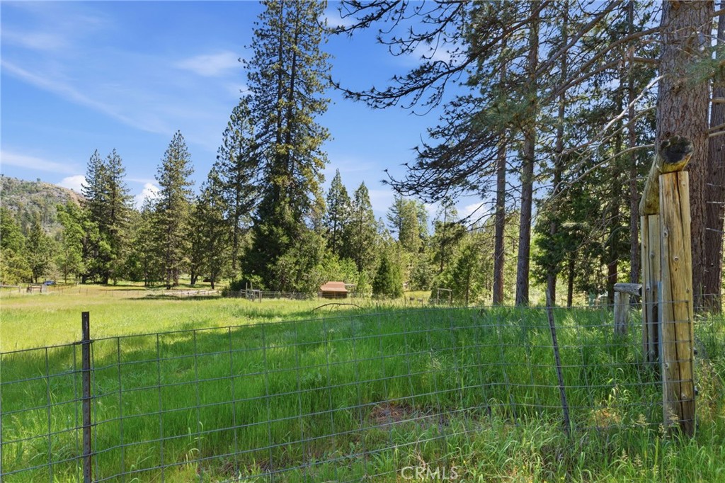 7019 Scott Property Photo 63