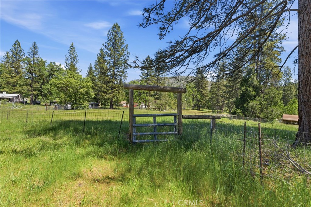 7019 Scott Property Photo 64