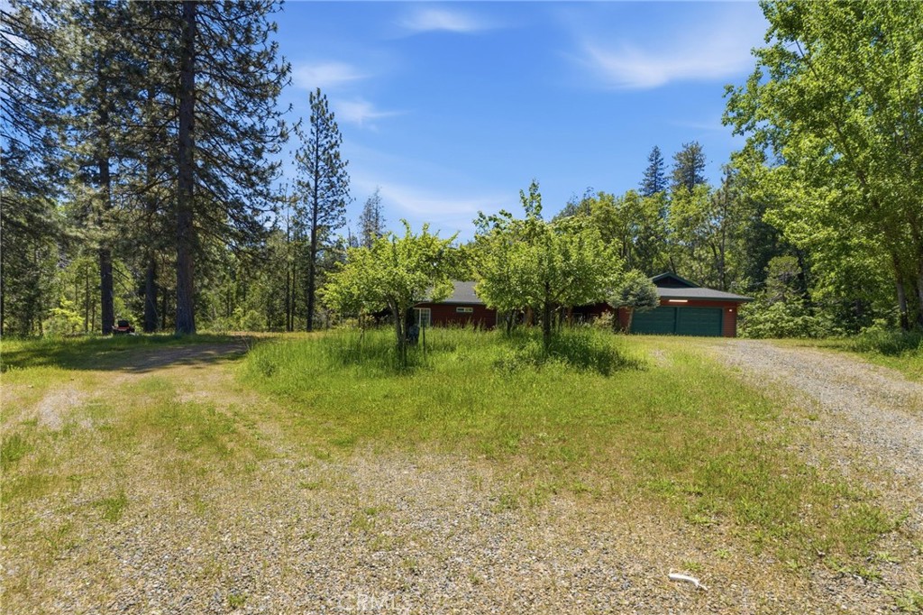 7019 Scott Property Photo 65