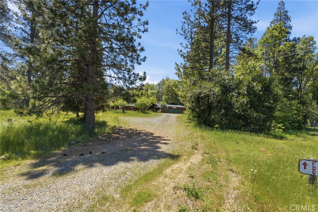 7019 Scott Property Photo 66