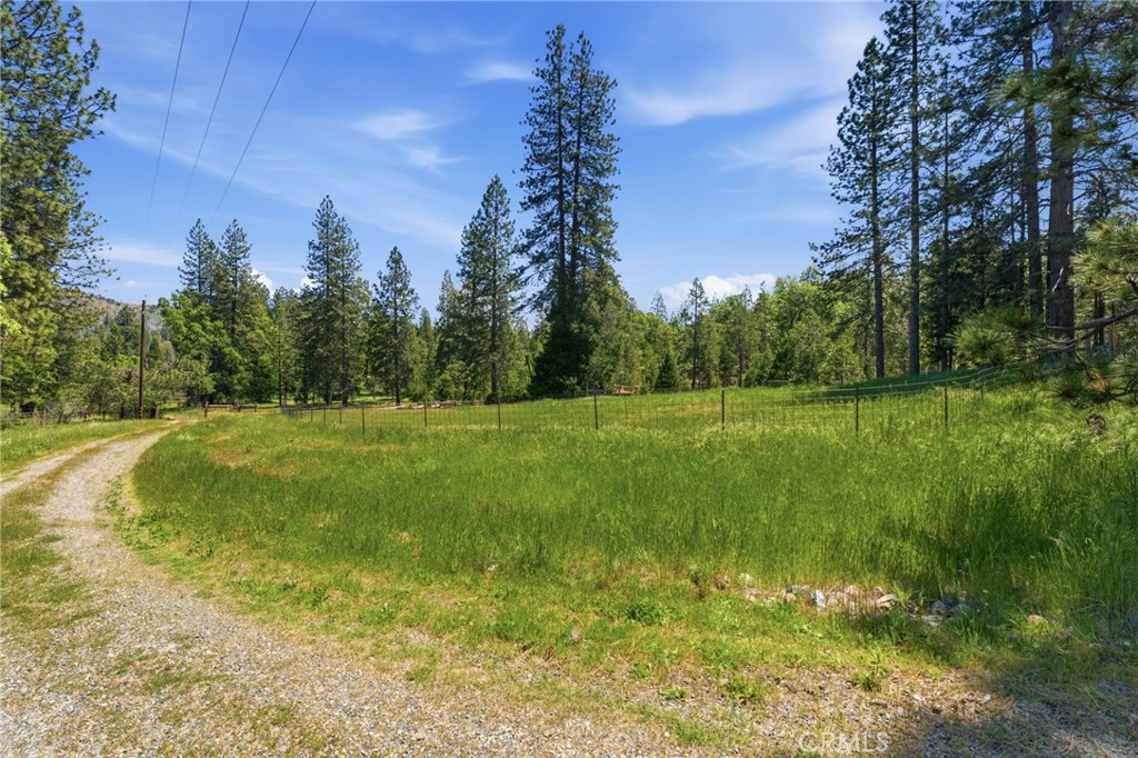 7019 Scott Property Photo 67