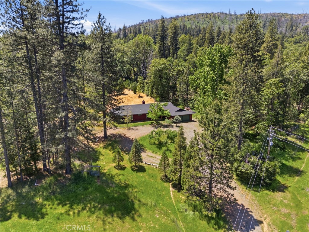 7019 Scott Property Photo 69