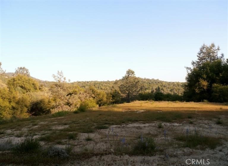 37 Lynx Lane Property Photo 1