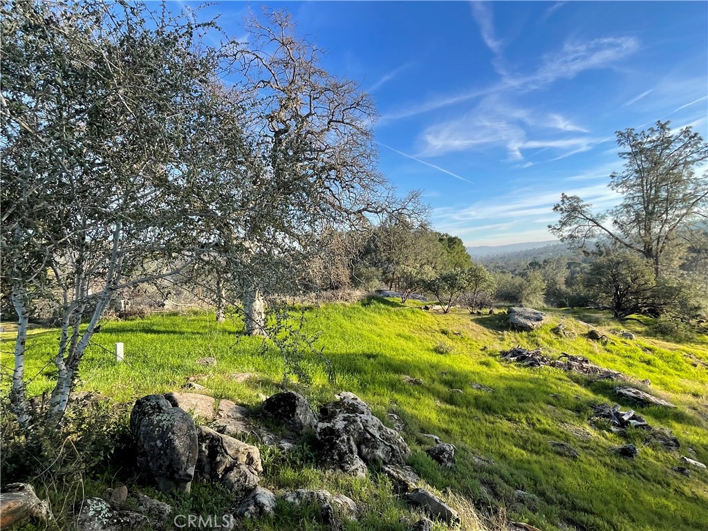 1220 Corral Drive Property Photo 4