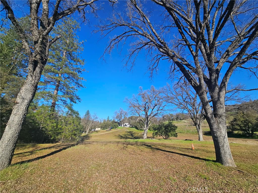 59366 Road 225 Property Photo 1