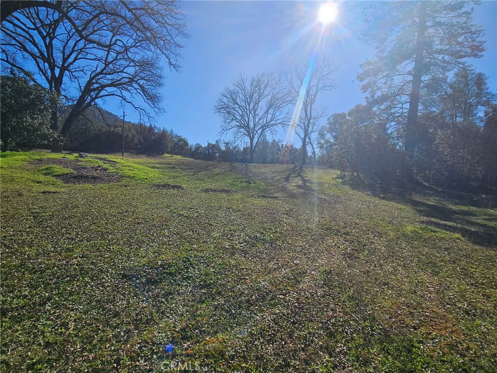 59366 Road 225 Property Photo 7