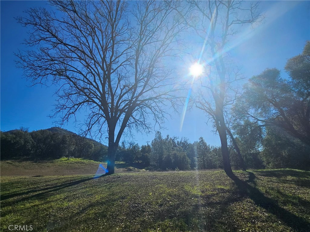 59366 Road 225 Property Photo 9