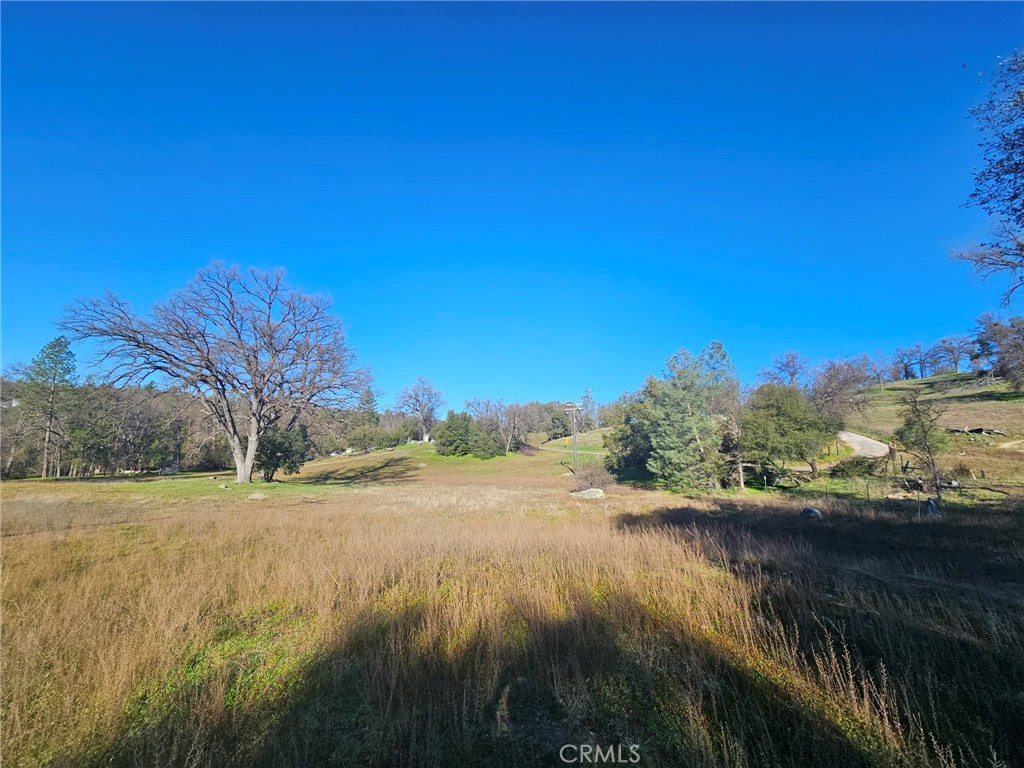 59366 Road 225 Property Photo 10