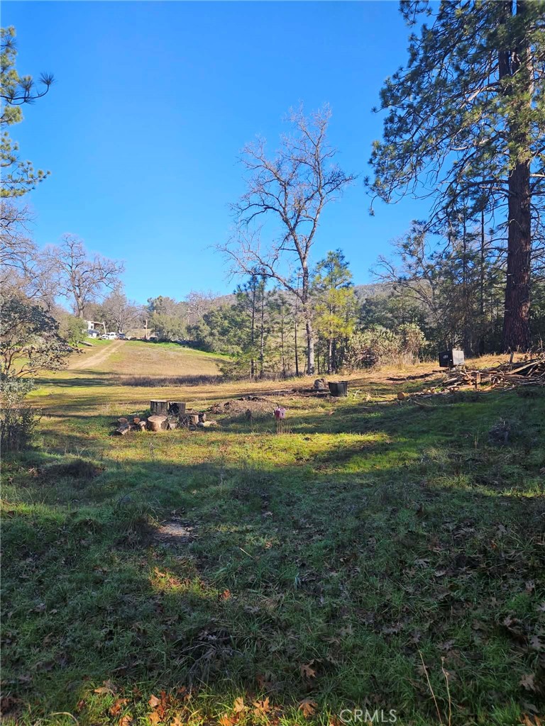 59366 Road 225 Property Photo 12