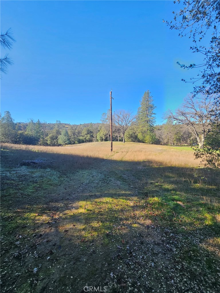 59366 Road 225 Property Photo 13