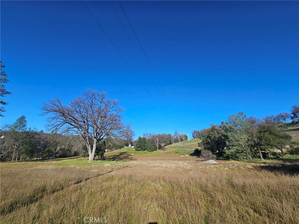 59366 Road 225 Property Photo 17