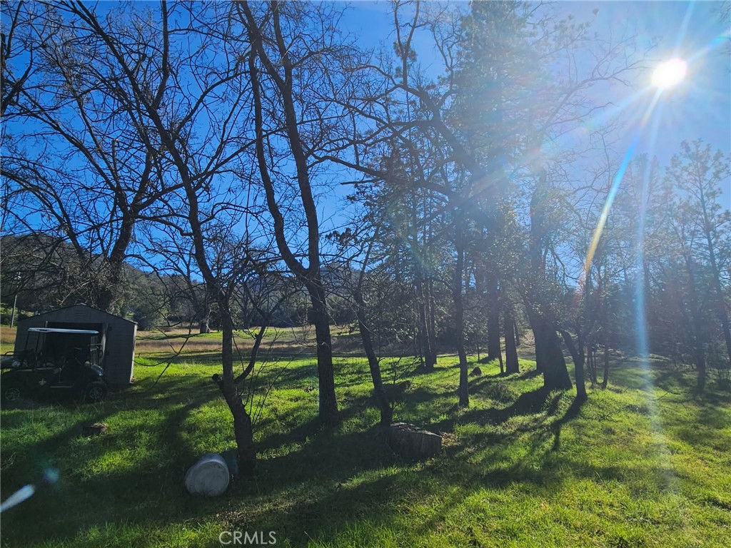 59366 Road 225 Property Photo 30