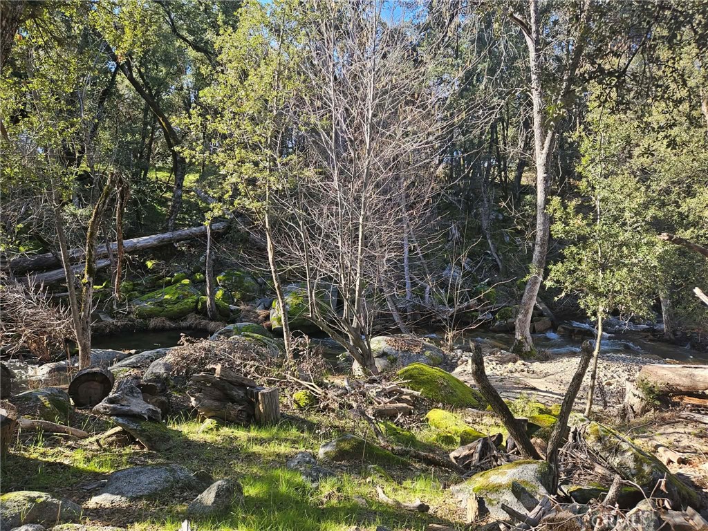 59366 Road 225 Property Photo 32