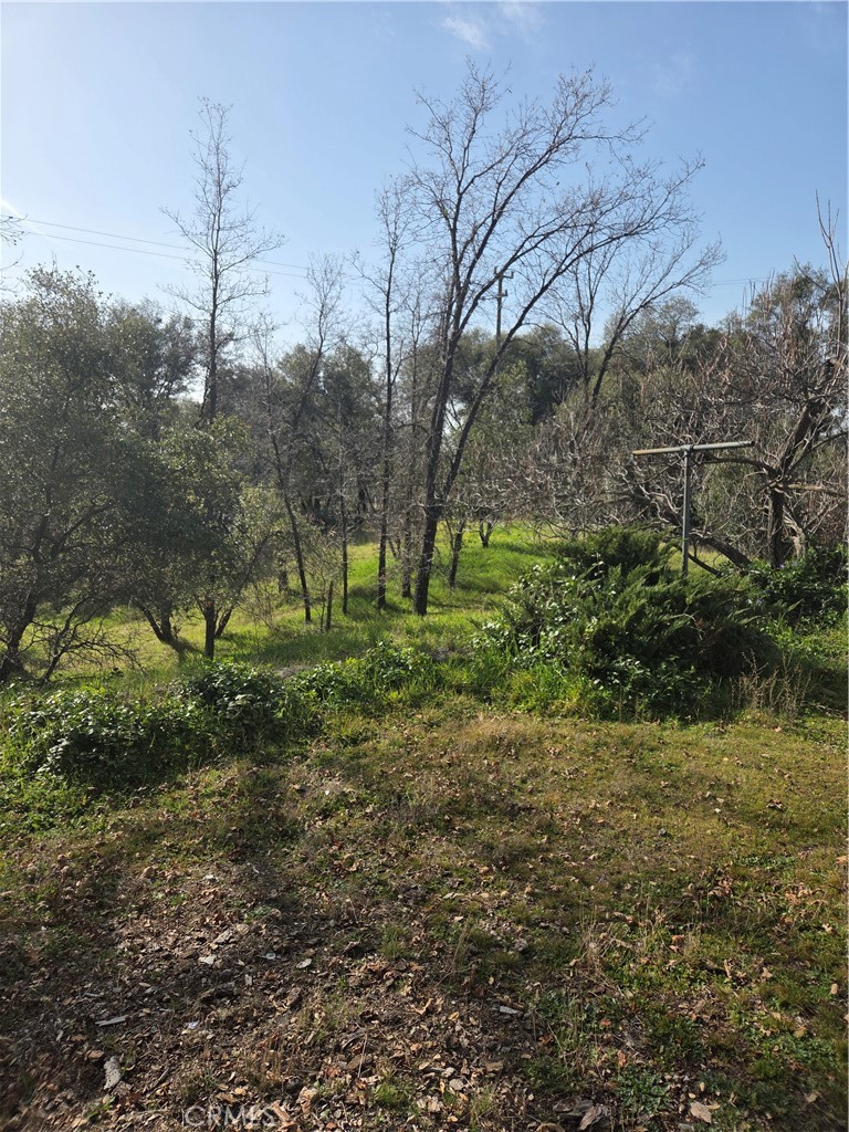 58348 Road 225 Property Photo 5