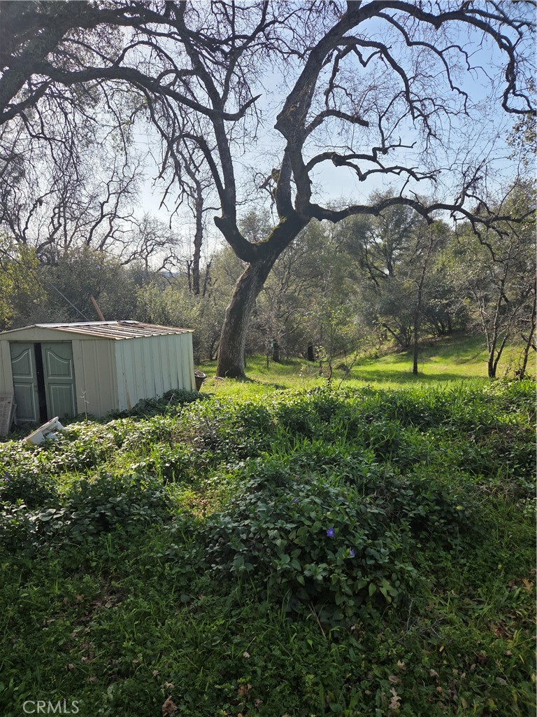 58348 Road 225 Property Photo 6