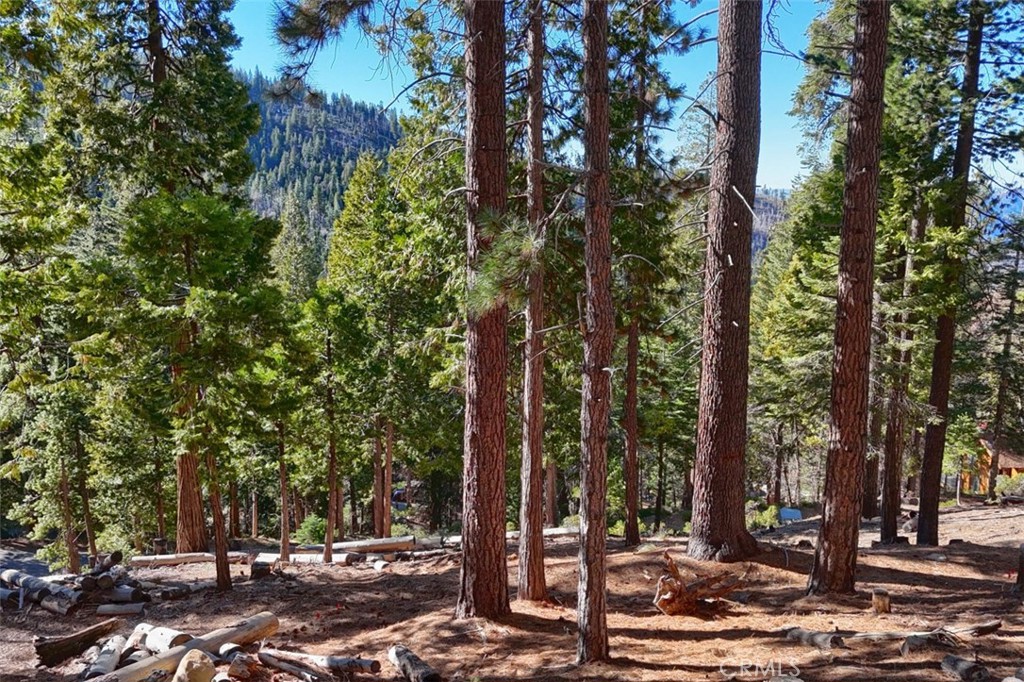 7349 & 7473 Yosemite Park Way Property Photo 4