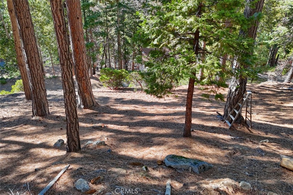 7349 & 7473 Yosemite Park Way Property Photo 5