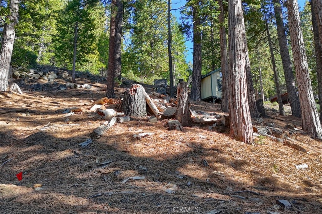7349 & 7473 Yosemite Park Way Property Photo 6