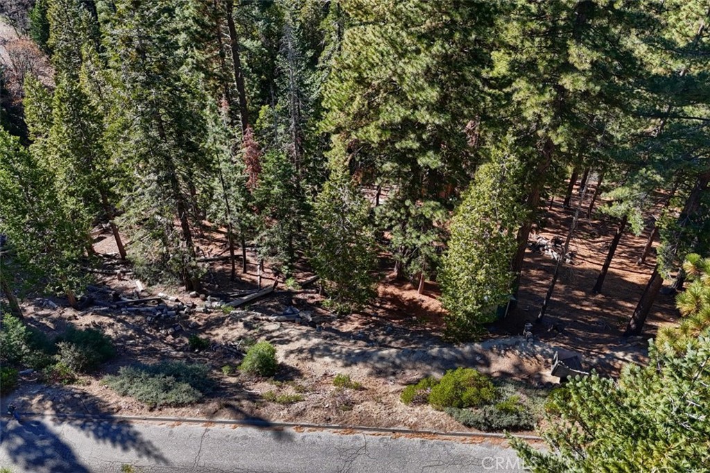 7349 & 7473 Yosemite Park Way Property Photo 10