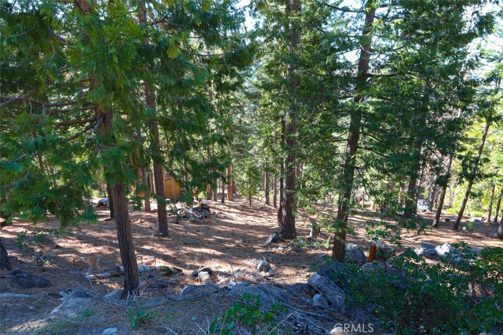 7349 & 7473 Yosemite Park Way Property Photo 12