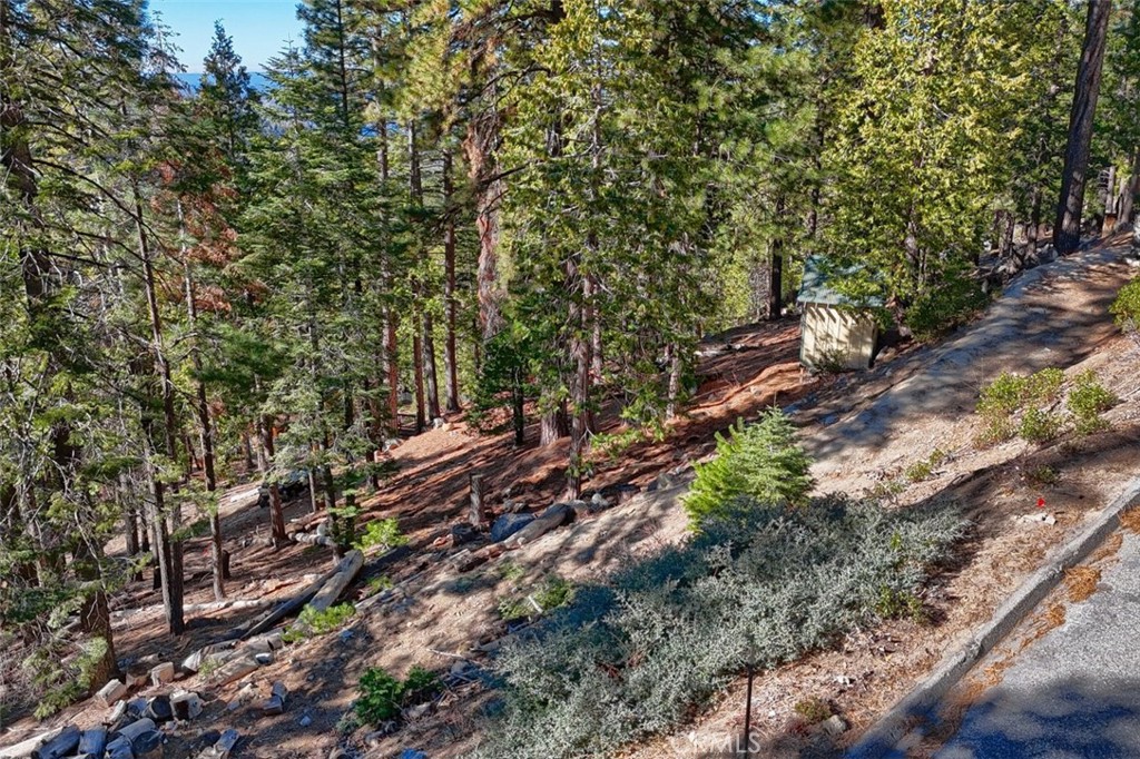 7349 & 7473 Yosemite Park Way Property Photo 13