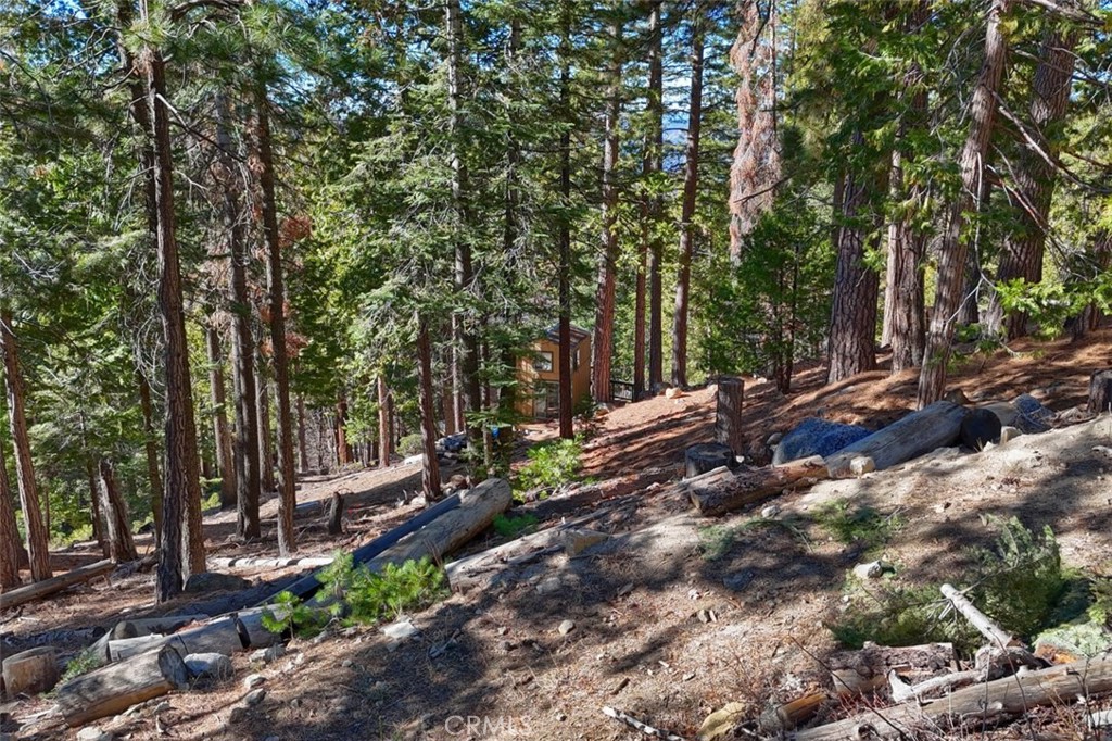 7349 & 7473 Yosemite Park Way Property Photo 14