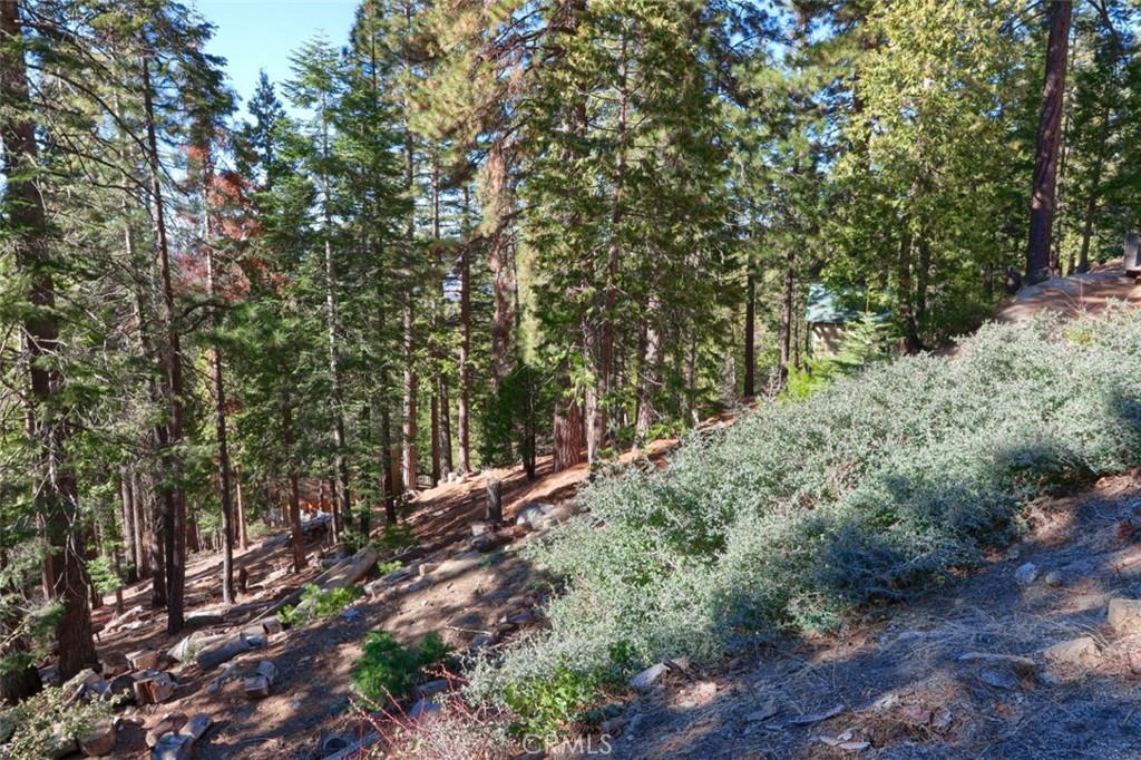 7349 & 7473 Yosemite Park Way Property Photo 15