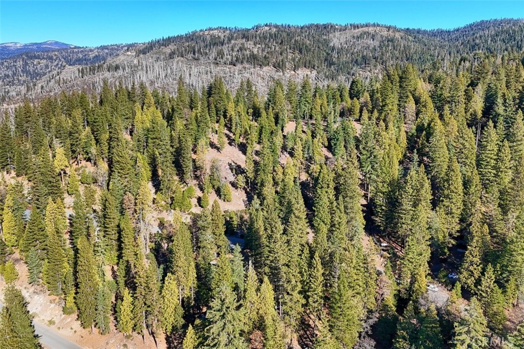 7349 & 7473 Yosemite Park Way Property Photo 17