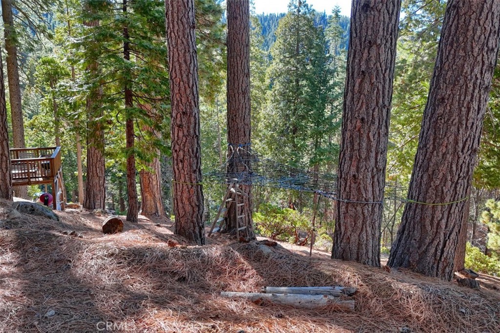 7349 & 7473 Yosemite Park Way Property Photo 19