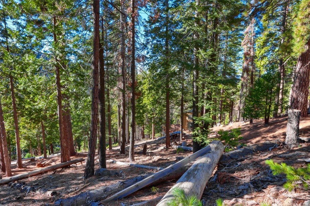 7349 & 7473 Yosemite Park Way Property Photo 20